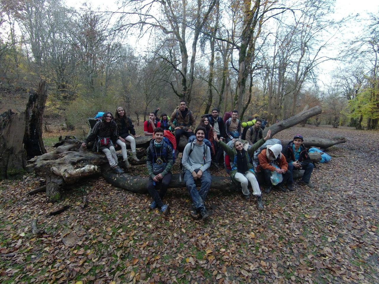 Autumn forest group hike