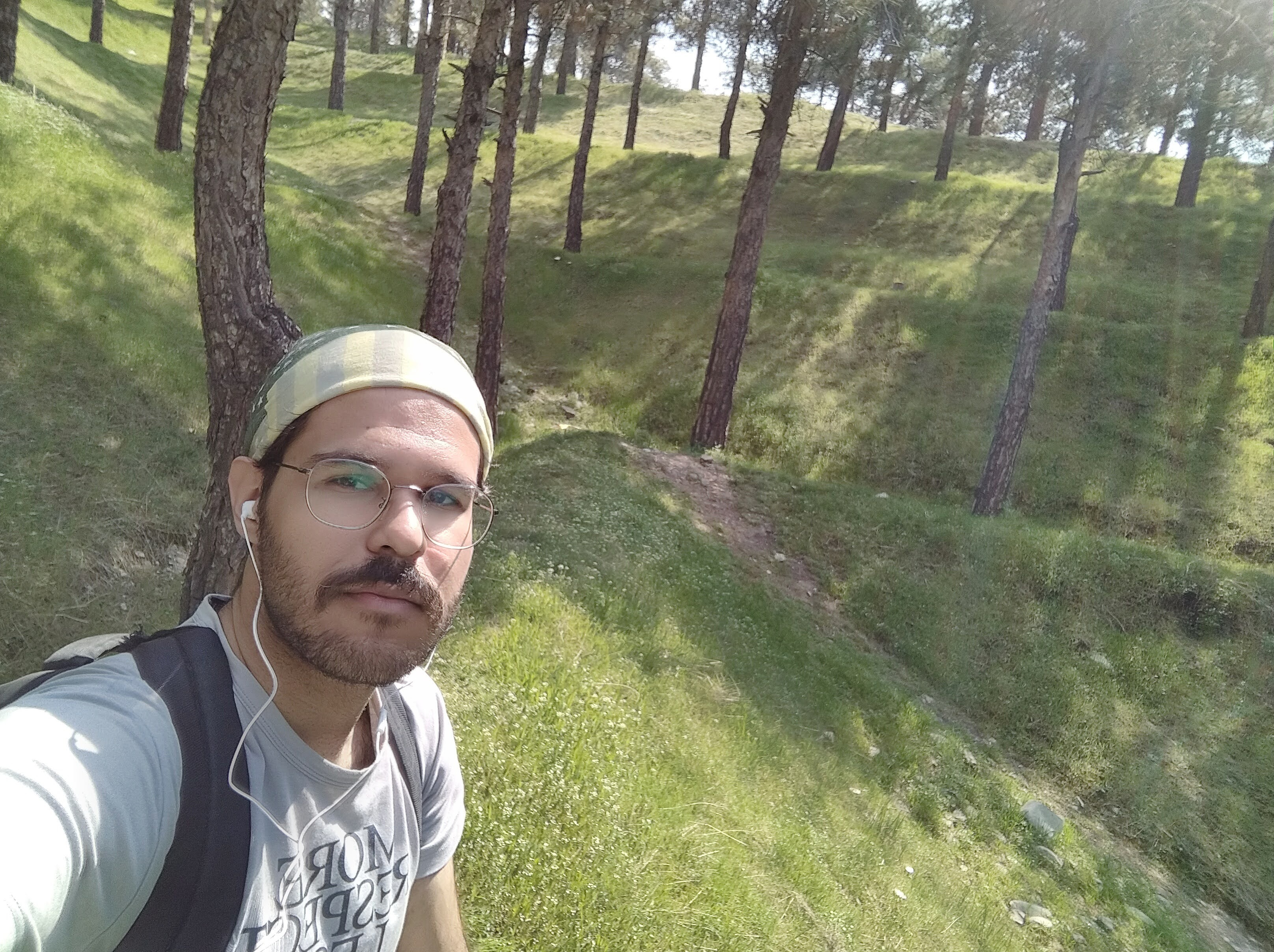 Pine forest group trail hike