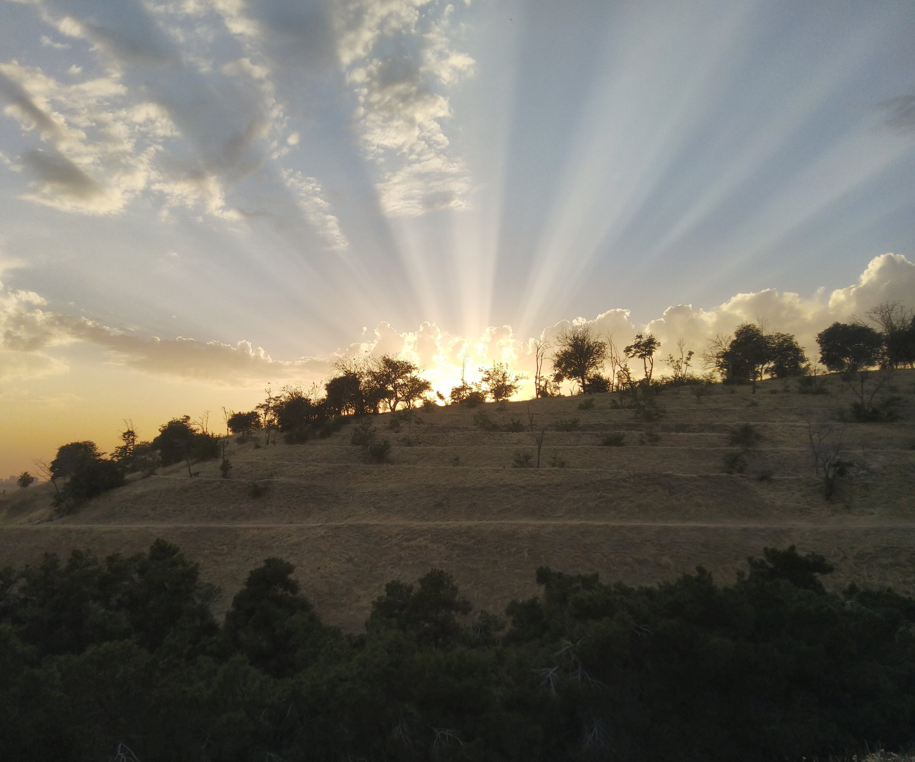 Sunset crepuscular rays over terraced hills